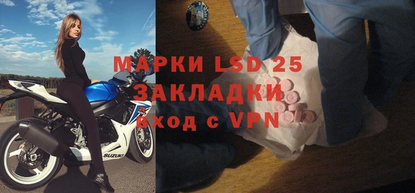 PSILOCYBIN Нефтегорск